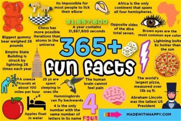 5 Facts To Know About Erin McPike and Her Relationships