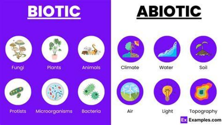 Examples of biotic and abiotic factors