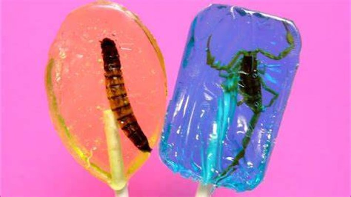 Is candy made out of bugs